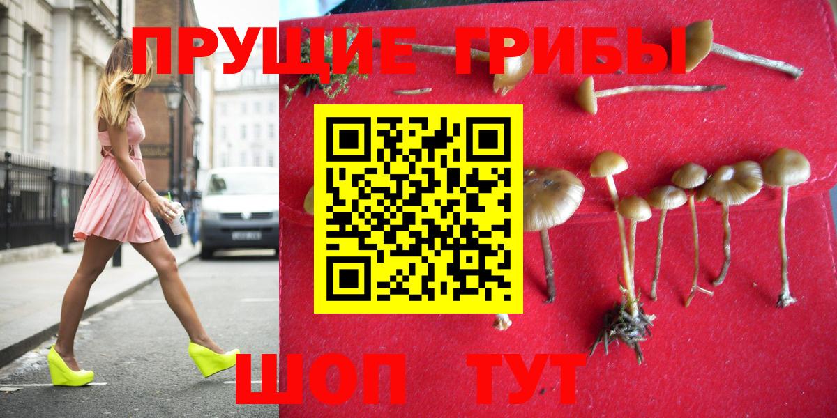 Псилоцибиновые грибы ЛСД Бердск