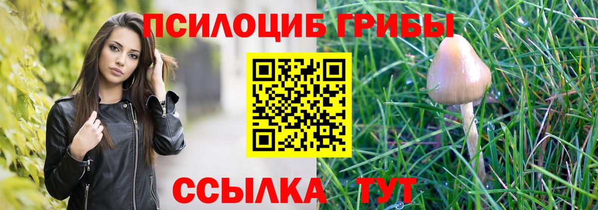 Галлюциногенные грибы мицелий  даркнет сайт  Бердск  Псилоцибиновые грибы мицелий  Вход с VPN 